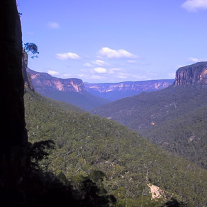 The majestic cliffs of the Grose Valley, from the end of Yileen Canyon, Blue Mountains National Park