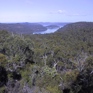The view down to the Hawkesbury River from Mt Pindar, Brisbane Water National Park