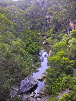 The upper reaches of the Lane Cove River, from De Burghs Bridge, Lane Cove National Park