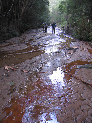 Walking the normally dry bed of Howes Valley Creek, Yengo National Park