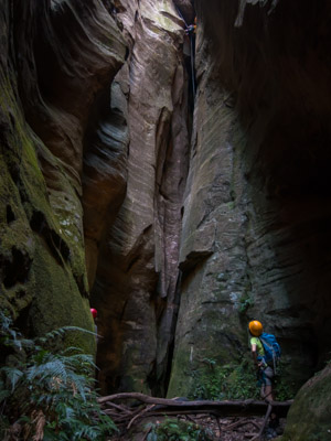 Abseiling in a canyon in the Wolgan Valley, near Newnes, Wollemi National Park