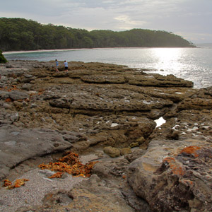 Rock platforms at Murrays Beach, Booderee National Park